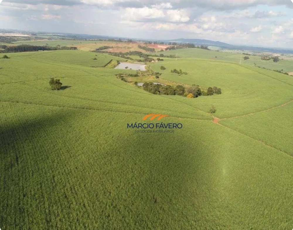 Fazenda, 307 hectares - Foto 14