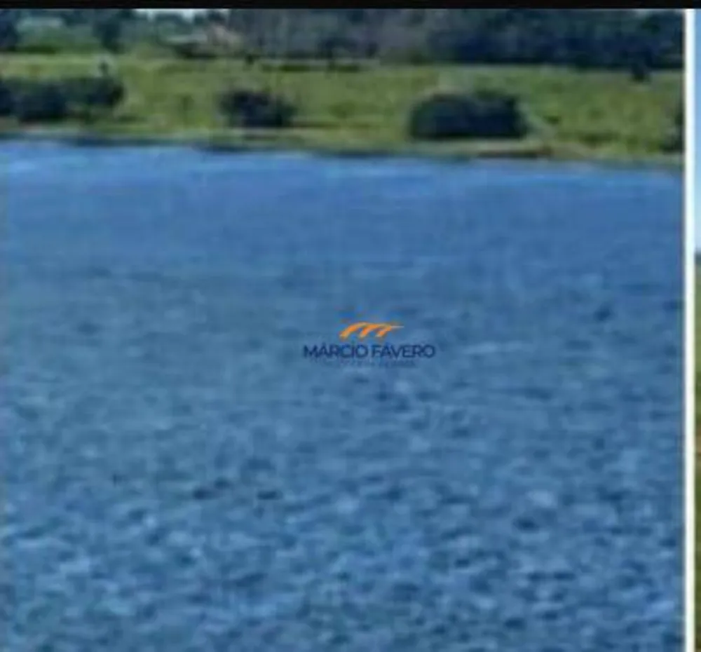 Fazenda, 315 hectares - Foto 4