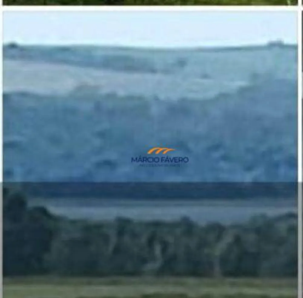 Fazenda, 315 hectares - Foto 7