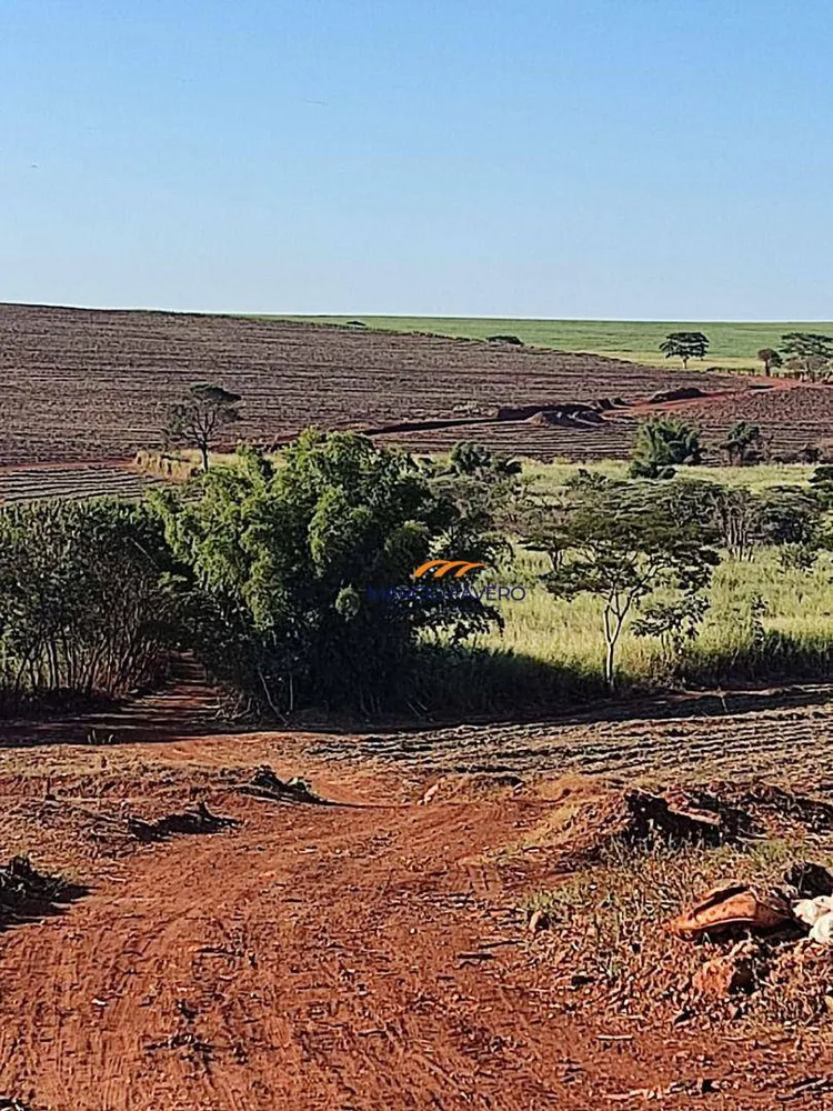 Fazenda, 155 hectares - Foto 6