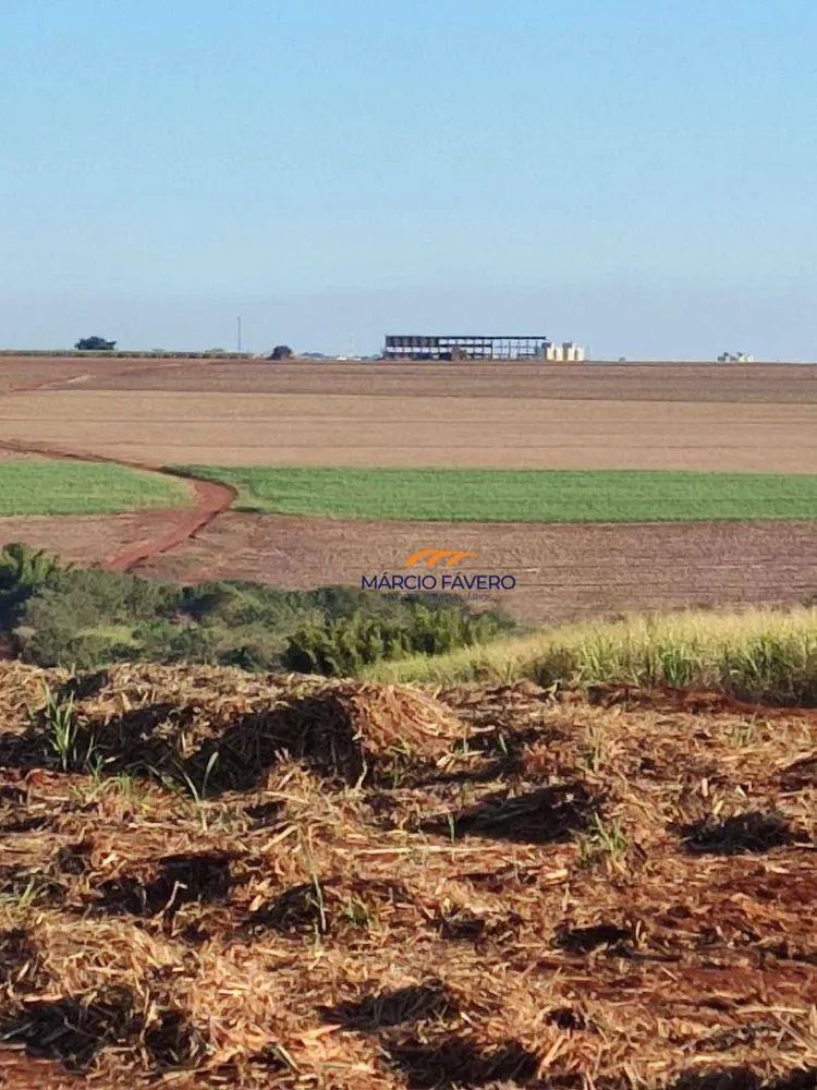 Fazenda, 155 hectares - Foto 9
