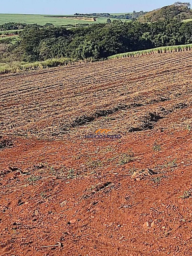 Fazenda, 155 hectares - Foto 7