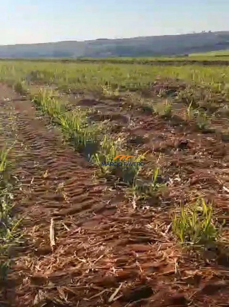 Fazenda, 155 hectares - Foto 2