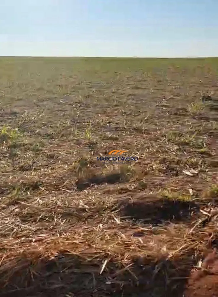 Fazenda, 155 hectares - Foto 3