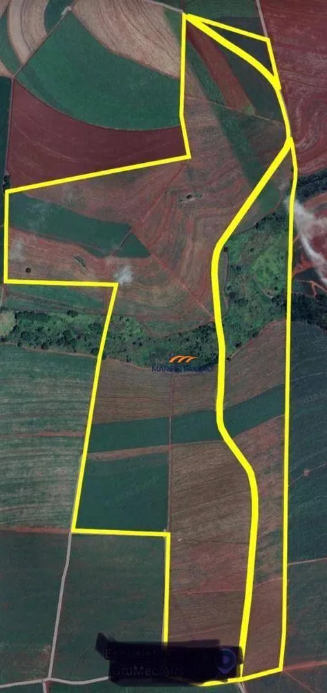 Fazenda, 155 hectares - Foto 10
