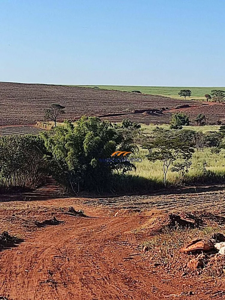 Fazenda, 155 hectares - Foto 8