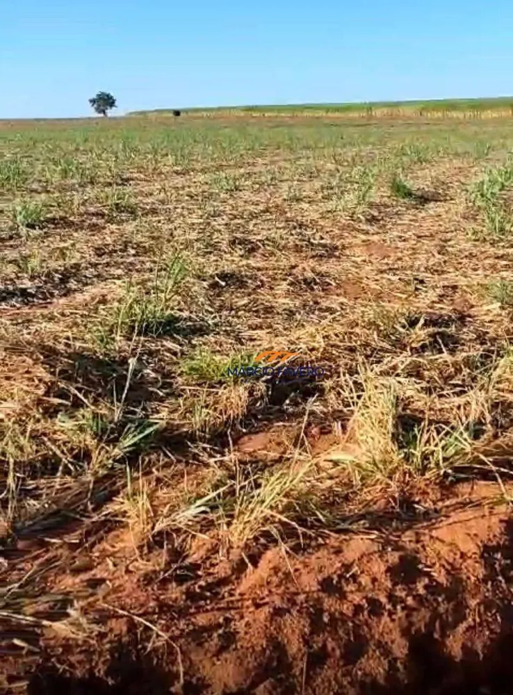 Fazenda, 155 hectares - Foto 1