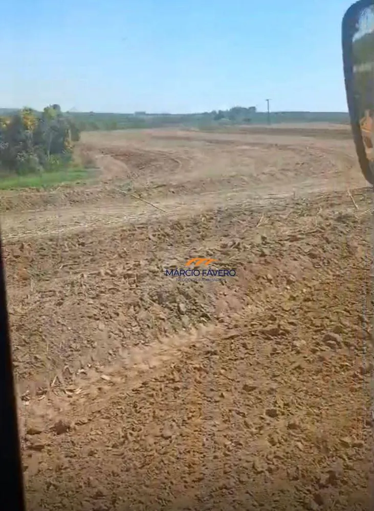 Sítio, 29 hectares - Foto 4
