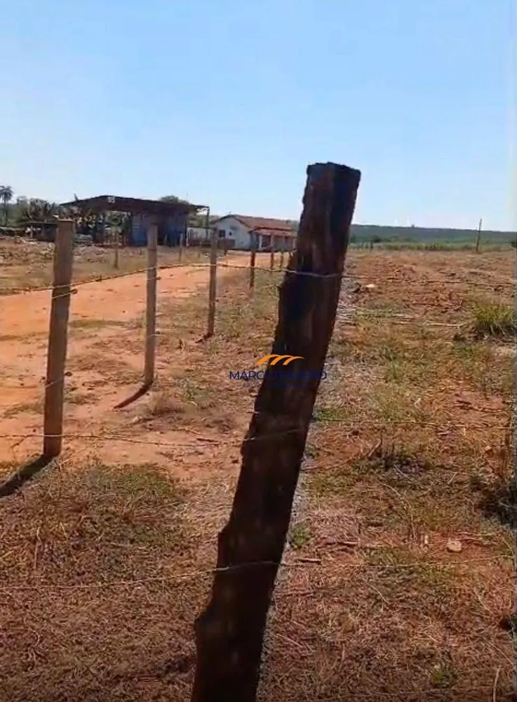 Sítio, 29 hectares - Foto 8