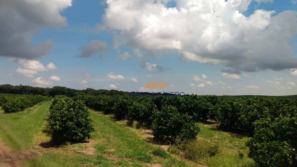 Fazenda, 169 hectares - Foto 6