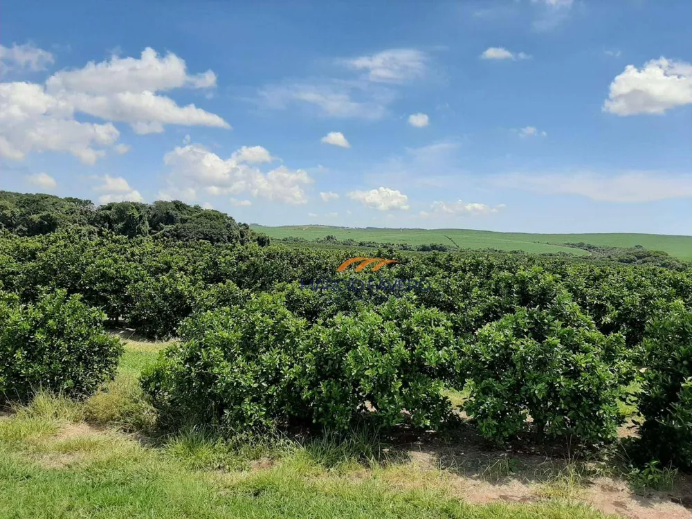 Fazenda, 169 hectares - Foto 3