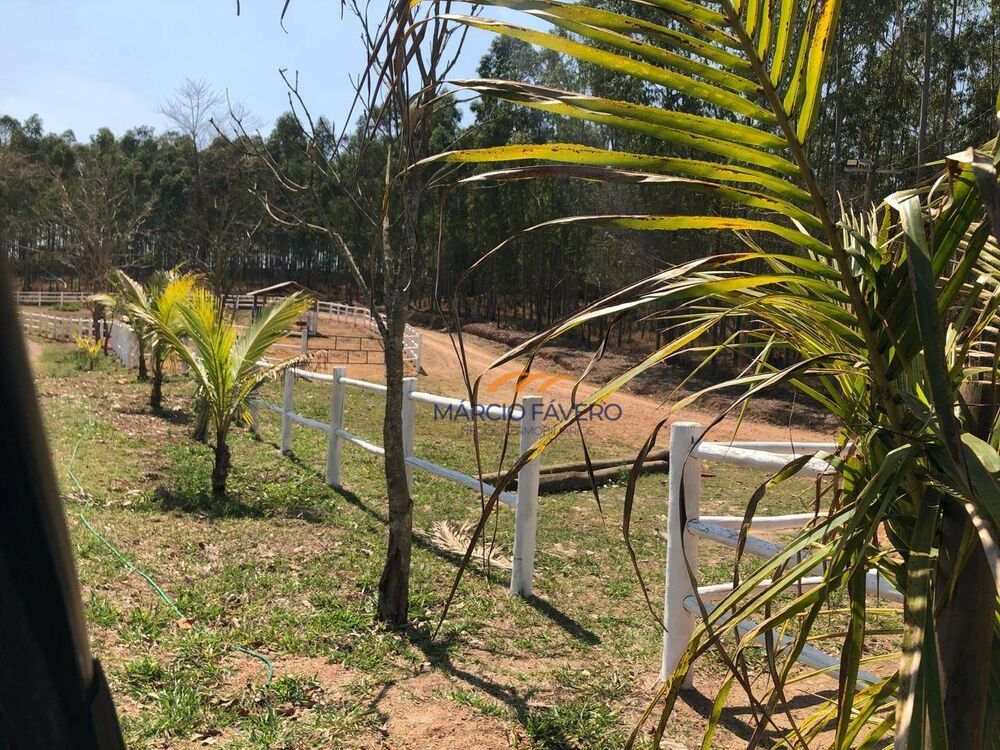 Sítio, 75 hectares - Foto 3