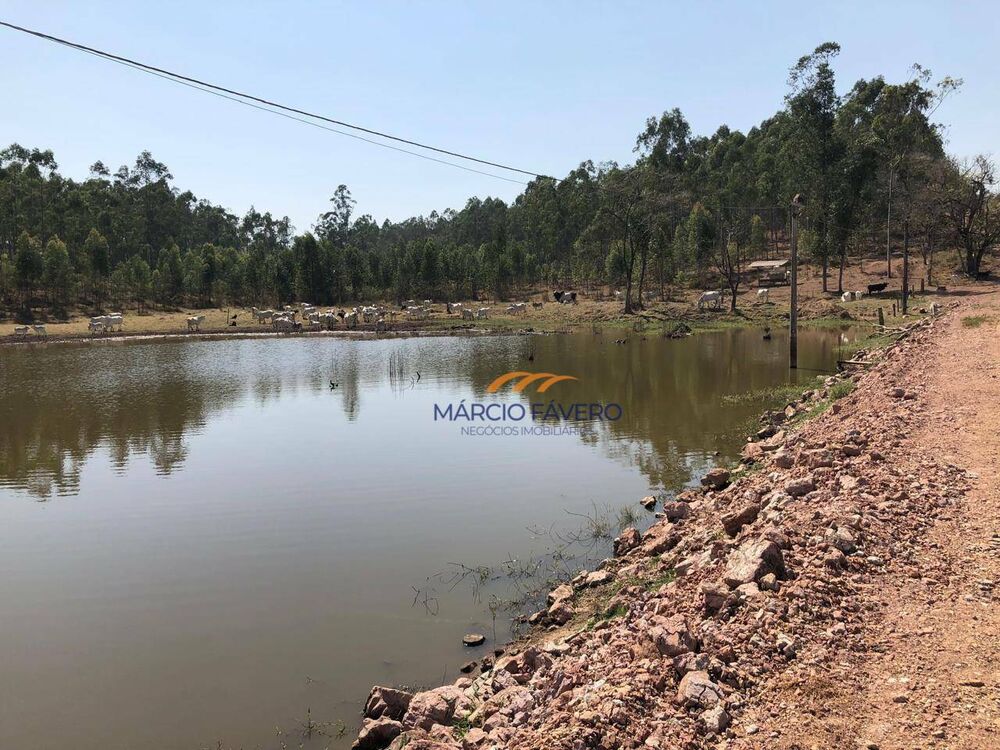 Sítio, 75 hectares - Foto 4