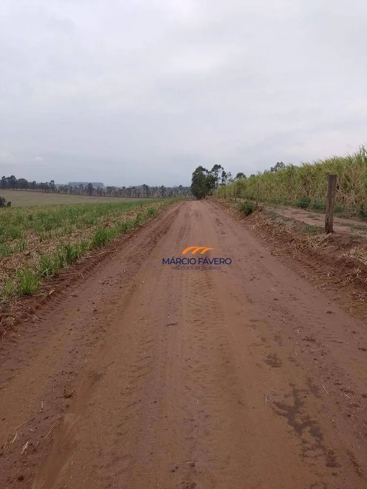 Fazenda, 172 hectares - Foto 2