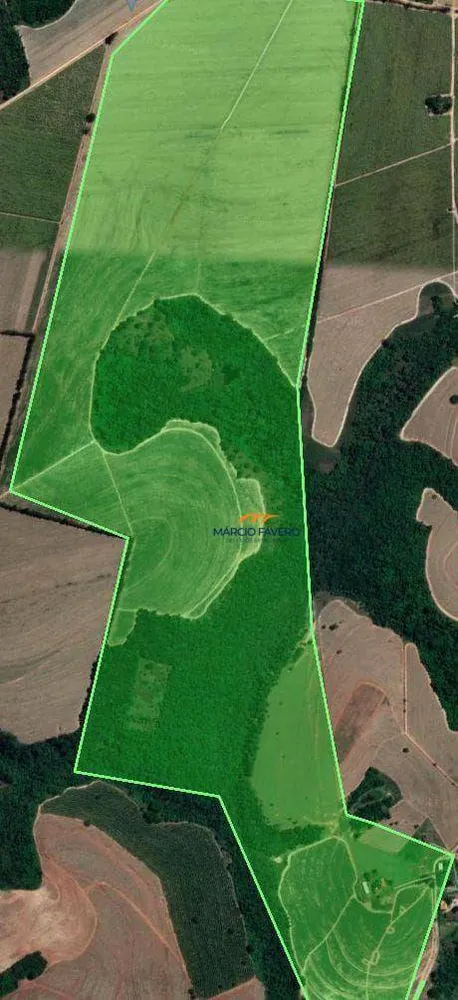 Fazenda, 172 hectares - Foto 3