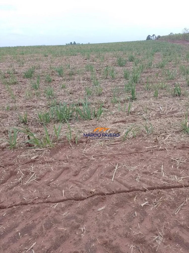Fazenda, 172 hectares - Foto 1