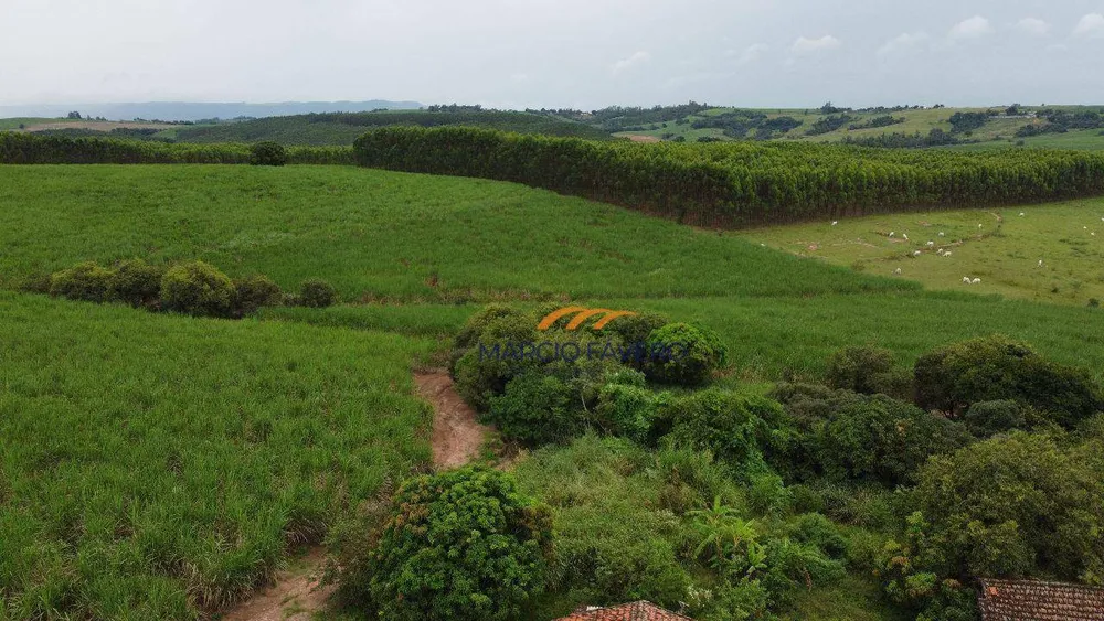 Fazenda, 108 hectares - Foto 6