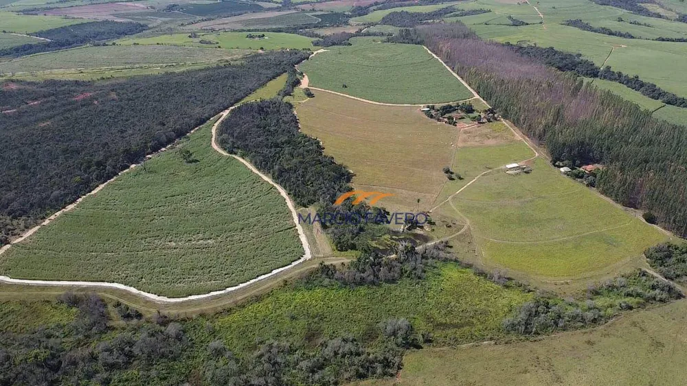 Fazenda, 131 hectares - Foto 1