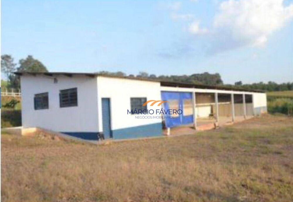 Sítio, 52 hectares - Foto 7