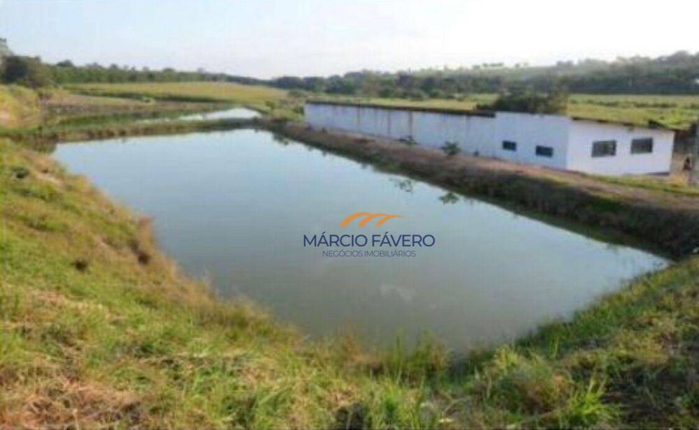 Sítio, 52 hectares - Foto 4