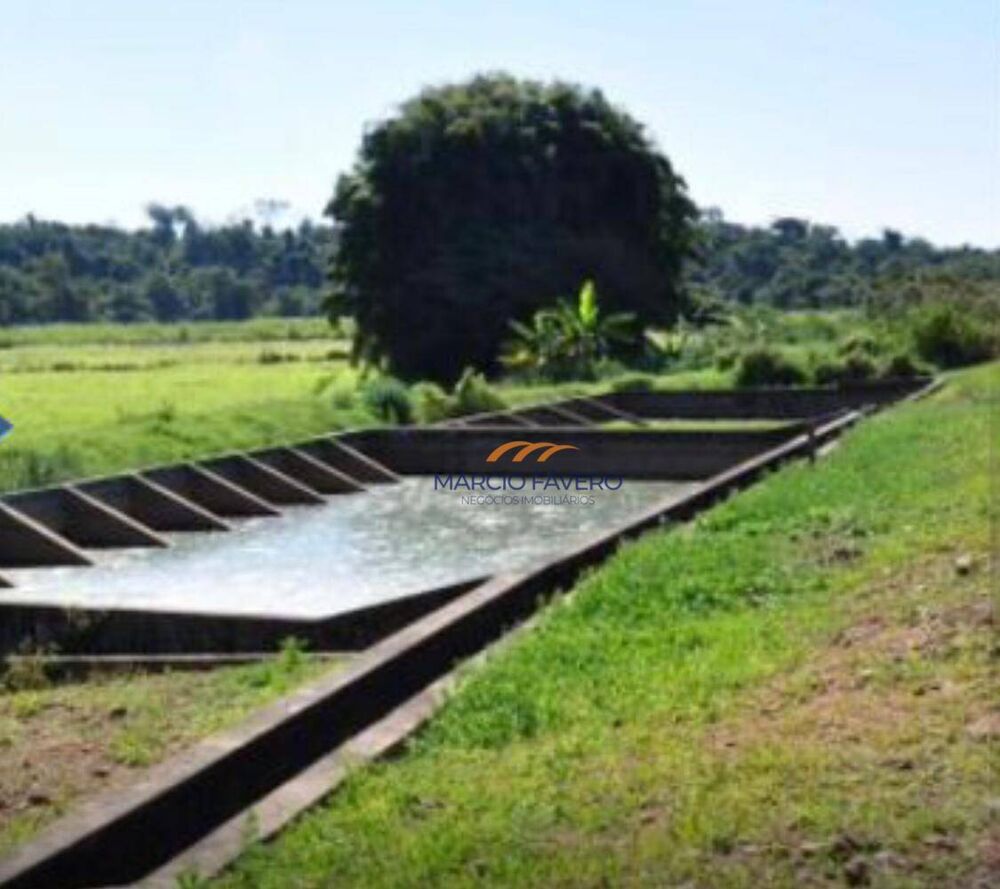 Sítio, 52 hectares - Foto 8