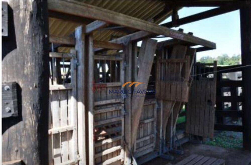 Sítio, 52 hectares - Foto 6