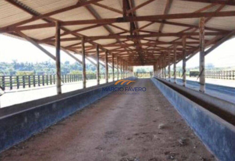 Sítio, 52 hectares - Foto 2