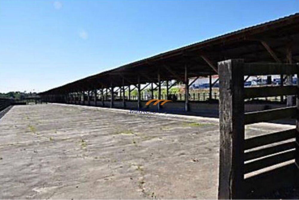 Sítio, 52 hectares - Foto 5