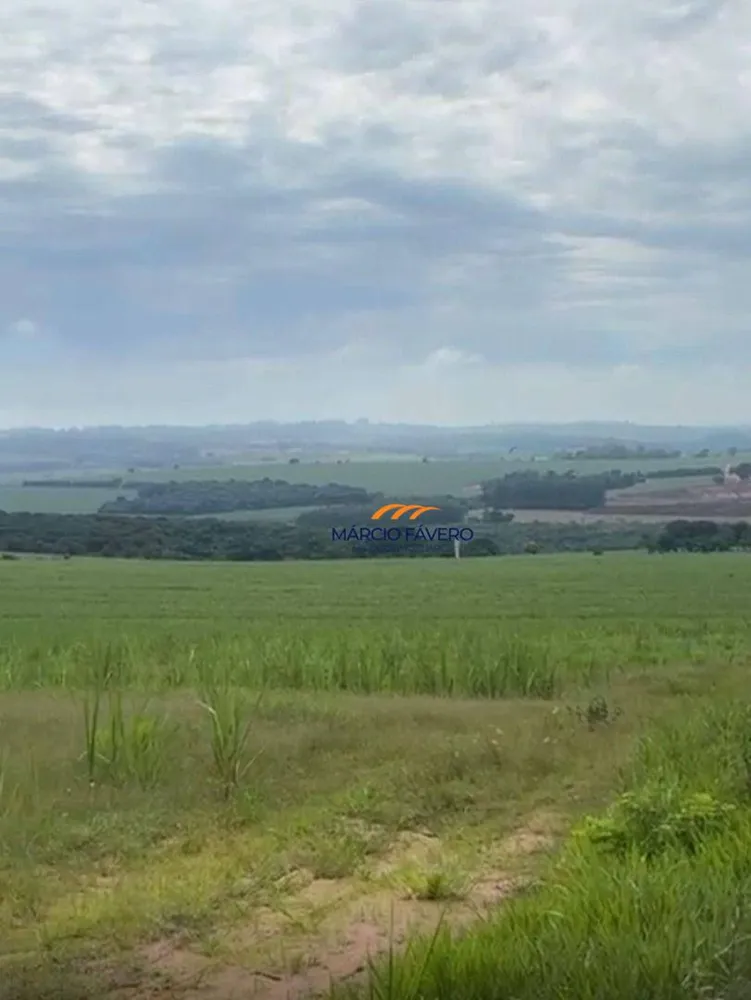 Sítio, 85 hectares - Foto 2