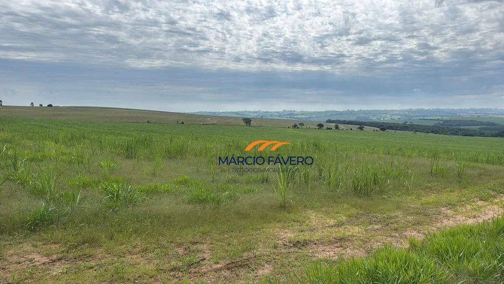 Sítio, 85 hectares - Foto 1