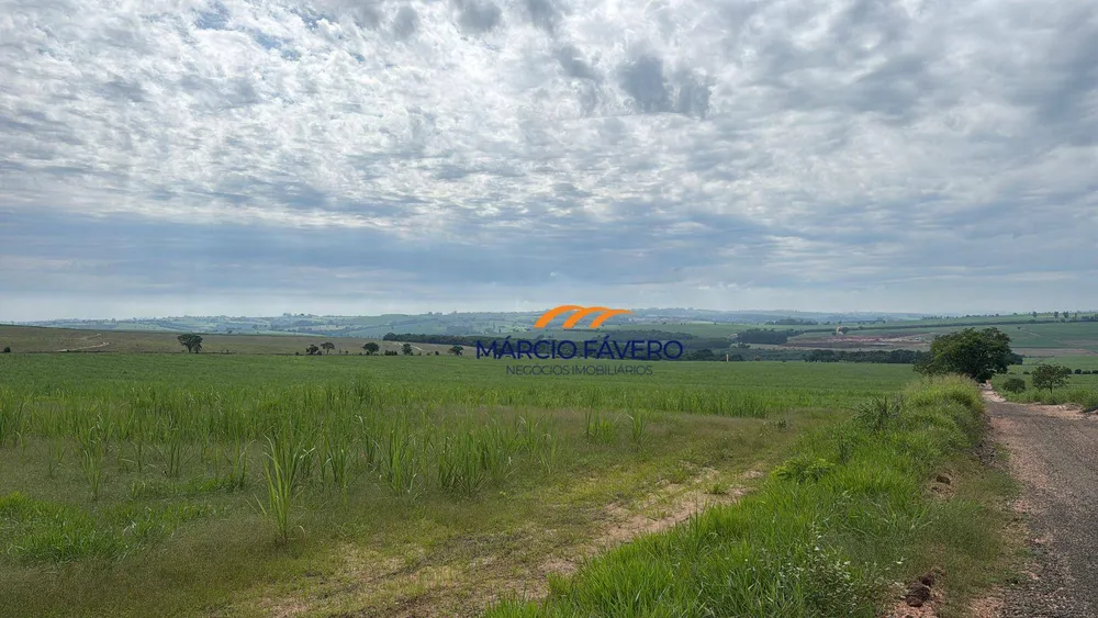 Sítio, 85 hectares - Foto 3
