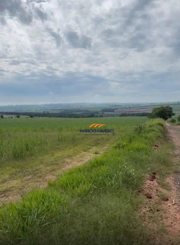 Sítio, 85 hectares - Foto 4