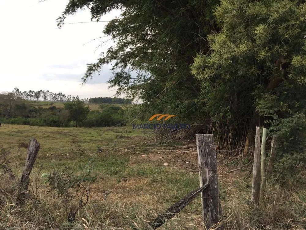 Sítio, 19 hectares - Foto 3