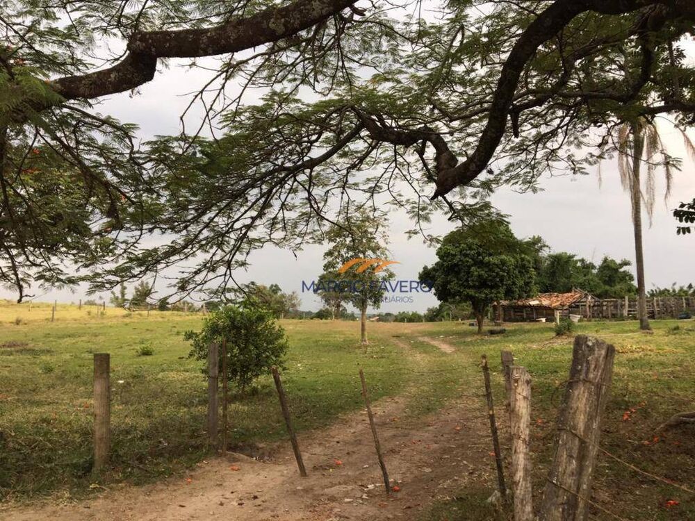 Sítio, 19 hectares - Foto 4
