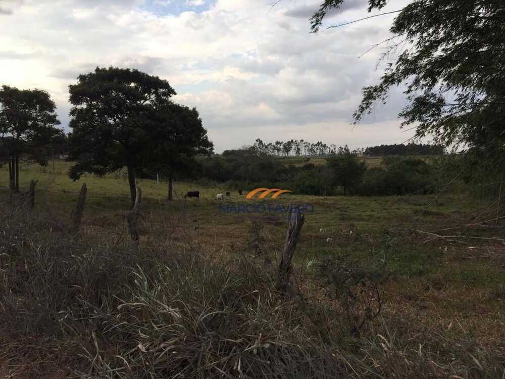 Sítio, 19 hectares - Foto 1