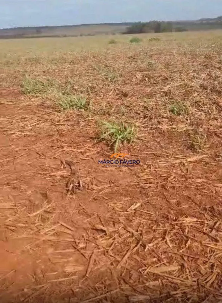 Fazenda, 242 hectares - Foto 7