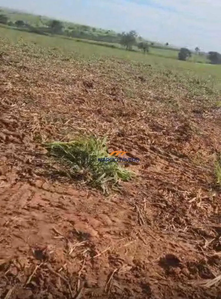 Fazenda, 242 hectares - Foto 1