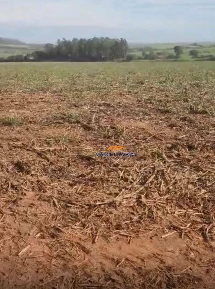 Fazenda, 242 hectares - Foto 4
