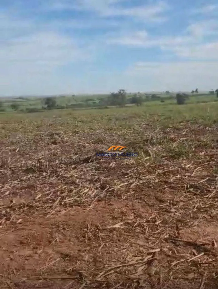 Fazenda, 242 hectares - Foto 6