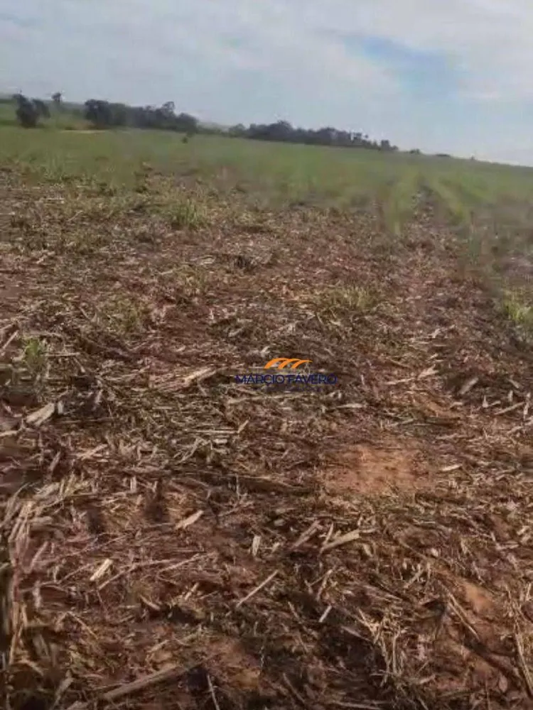 Fazenda, 242 hectares - Foto 3