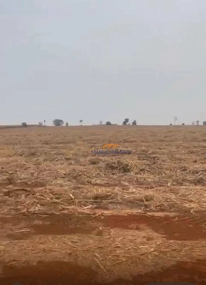Fazenda, 235 hectares - Foto 3