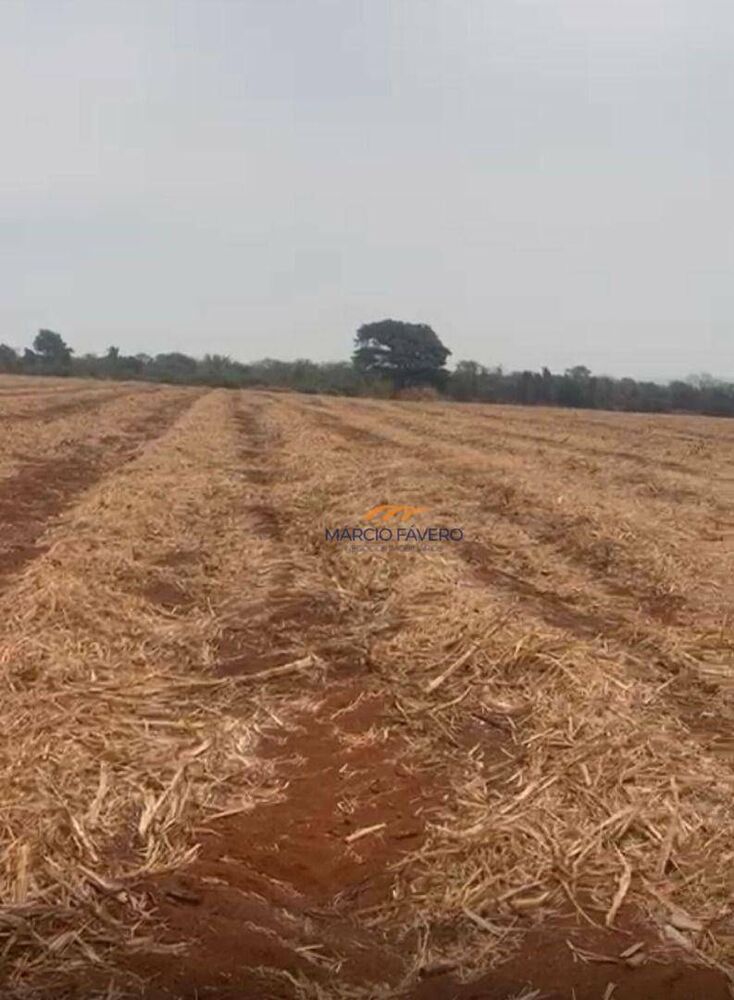 Fazenda, 235 hectares - Foto 6