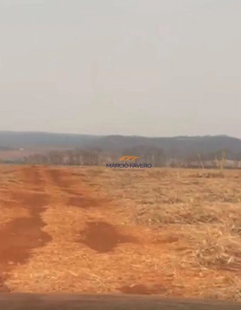 Fazenda, 235 hectares - Foto 2