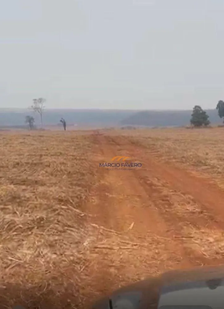 Fazenda, 235 hectares - Foto 4
