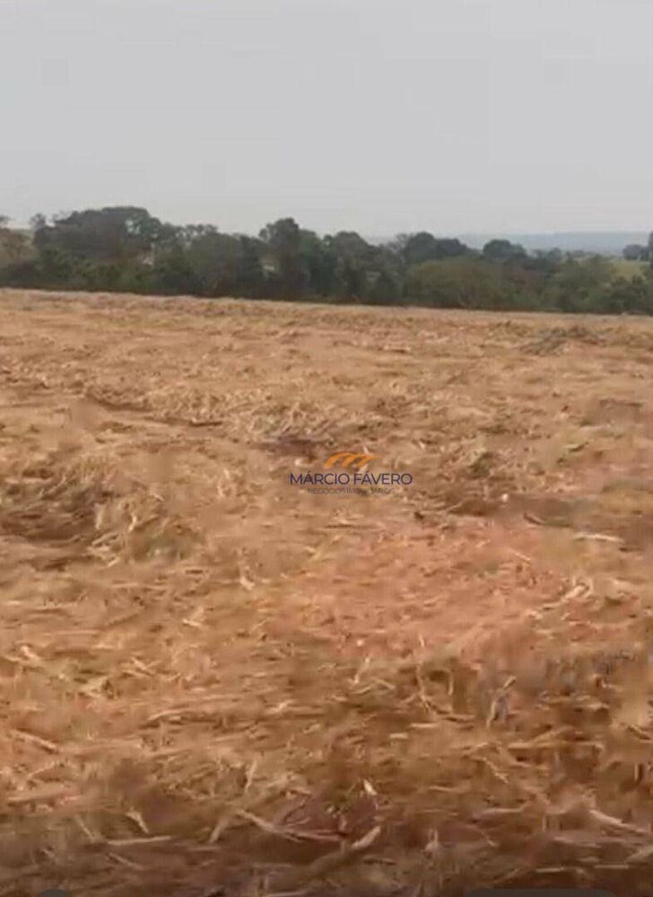Fazenda, 235 hectares - Foto 5