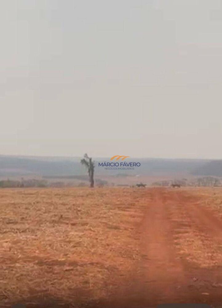 Fazenda, 235 hectares - Foto 8