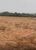 Fazenda-Sítio-Chácara, 235 hectares - Foto 2