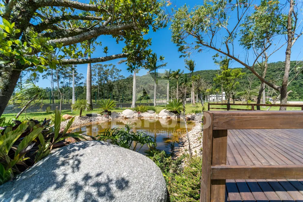 Terreno, 4886 m² - Foto 4
