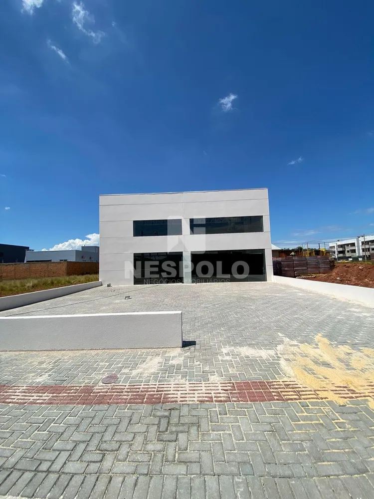 Depósito-Galpão, 217 m² - Foto 3