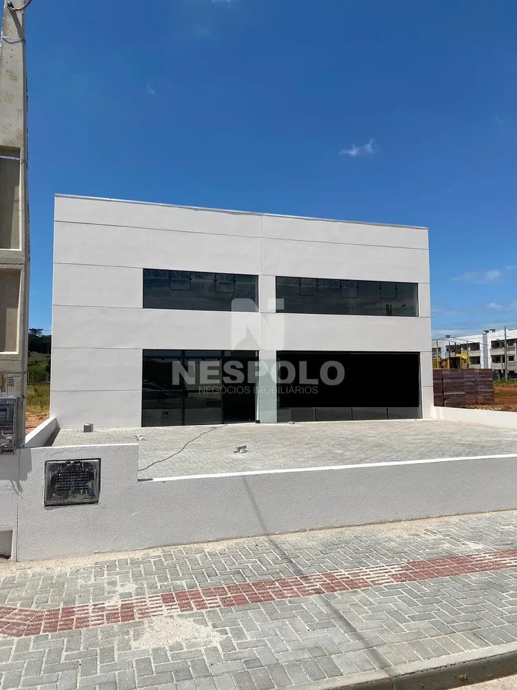 Depósito-Galpão, 217 m² - Foto 2